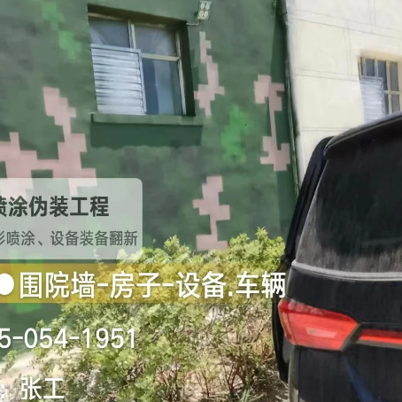 厦门数码迷彩漆施工